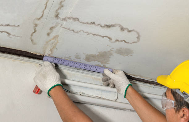 Reliable Mold Remediation contractor in Model, CO by Water Damage Irwin